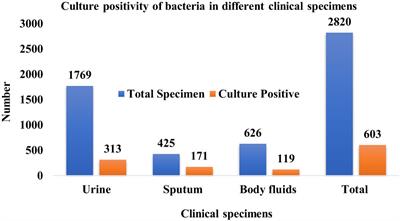 Antibiotic Resistance, Biofilm Formation and Detection of mexA/mexB Efflux-Pump Genes Among Clinical Isolates of Pseudomonas aeruginosa in a Tertiary Care Hospital, Nepal